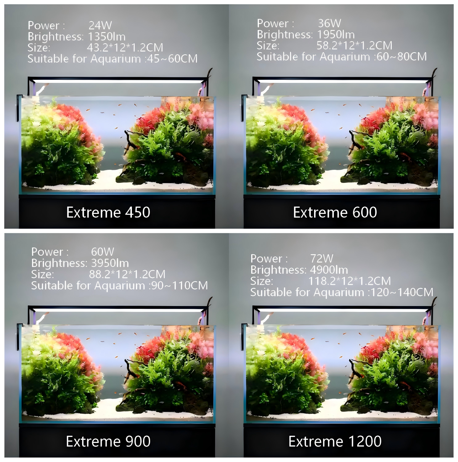 MICMOL Extreme 450 600 900 120 - Plant Parent App 评论和价格