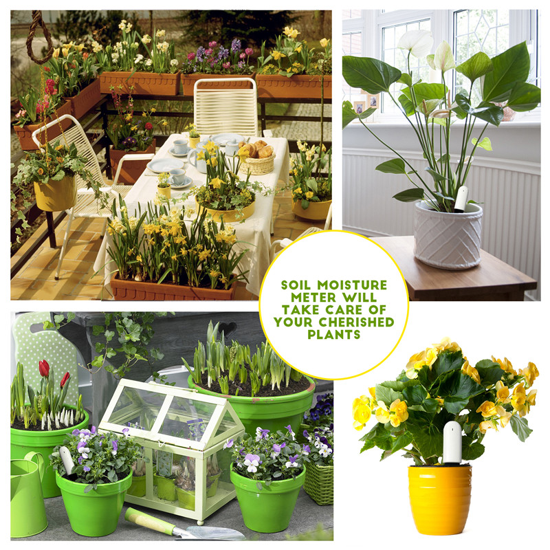 HHCC Flower Care Max Smart Pla - Plant Parent App 评论和价格