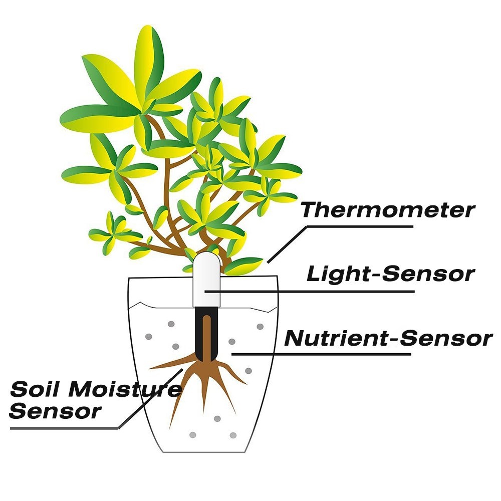 HHCC Flower Care Max Smart Pla - Plant Parent App 评论和价格
