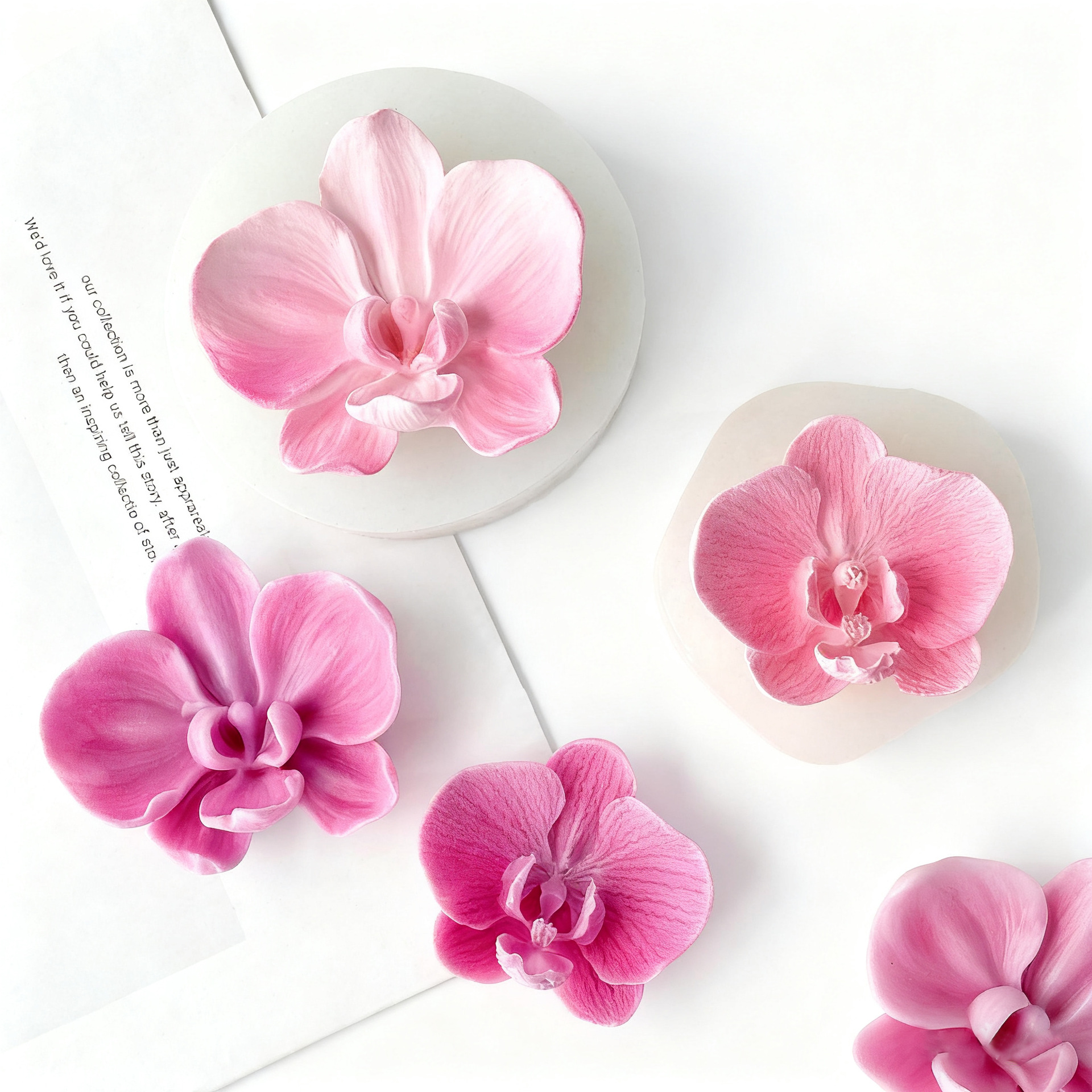 DIY Phalaenopsis Orchid Flower - Orchid Phalaenopsis 评论和价格
