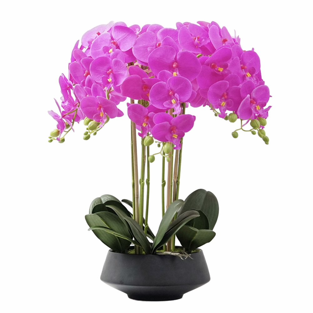 Artificial Potted Phalaenopsis - Orchid Phalaenopsis 评论和价格