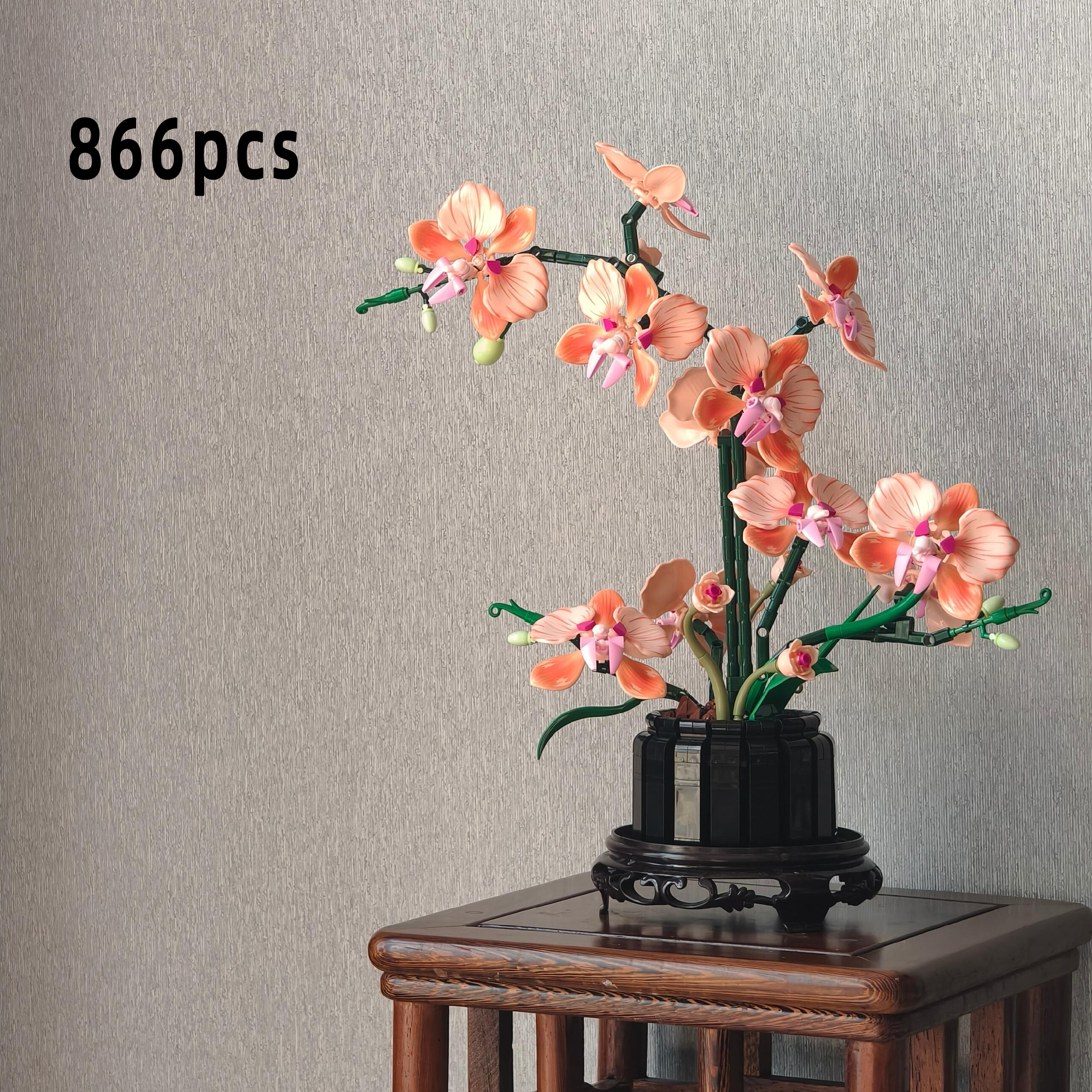 Orange Phalaenopsis Orchid Bui - Orchid Phalaenopsis 评论和价格