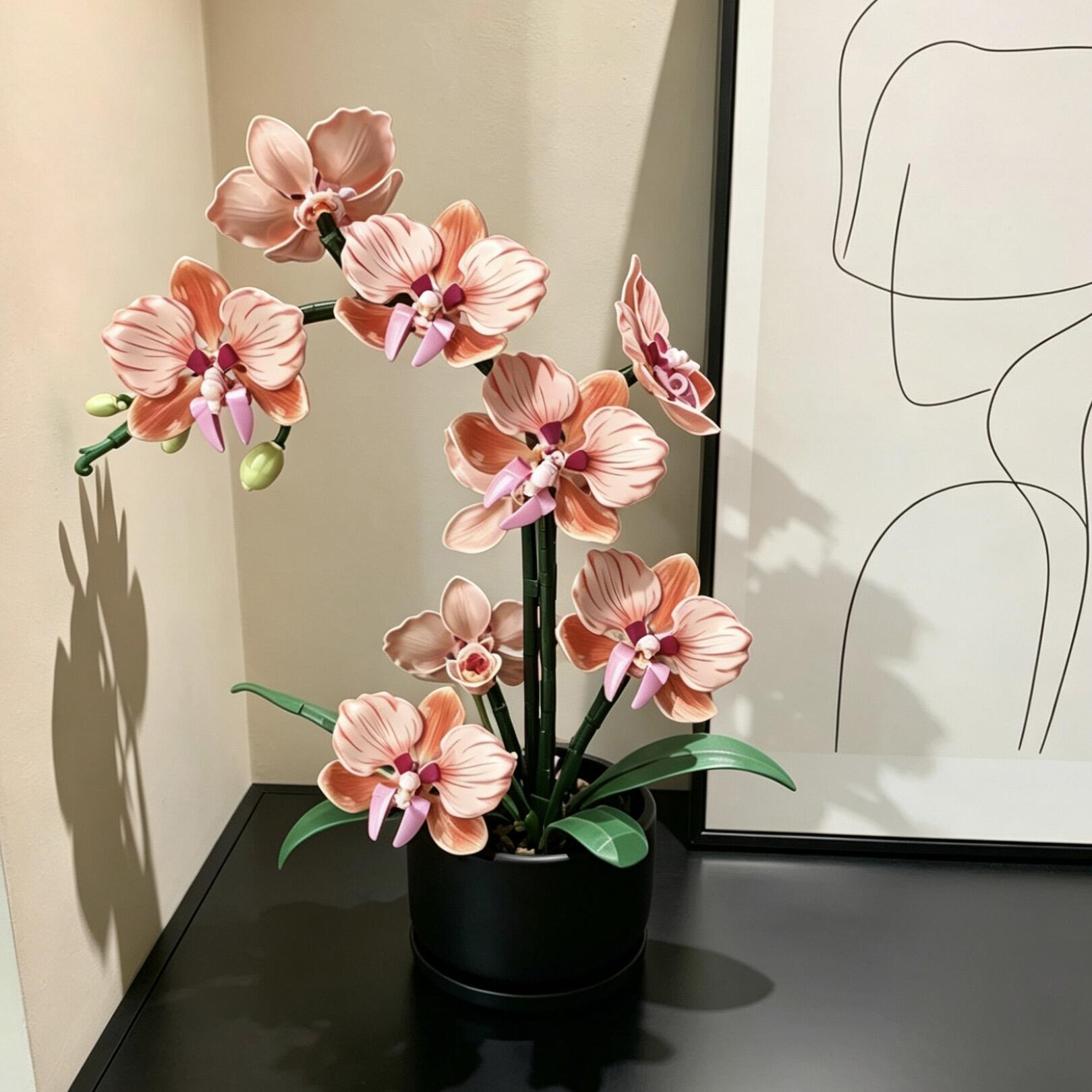 Orange Phalaenopsis Orchid Bui - Orchid Phalaenopsis 评论和价格