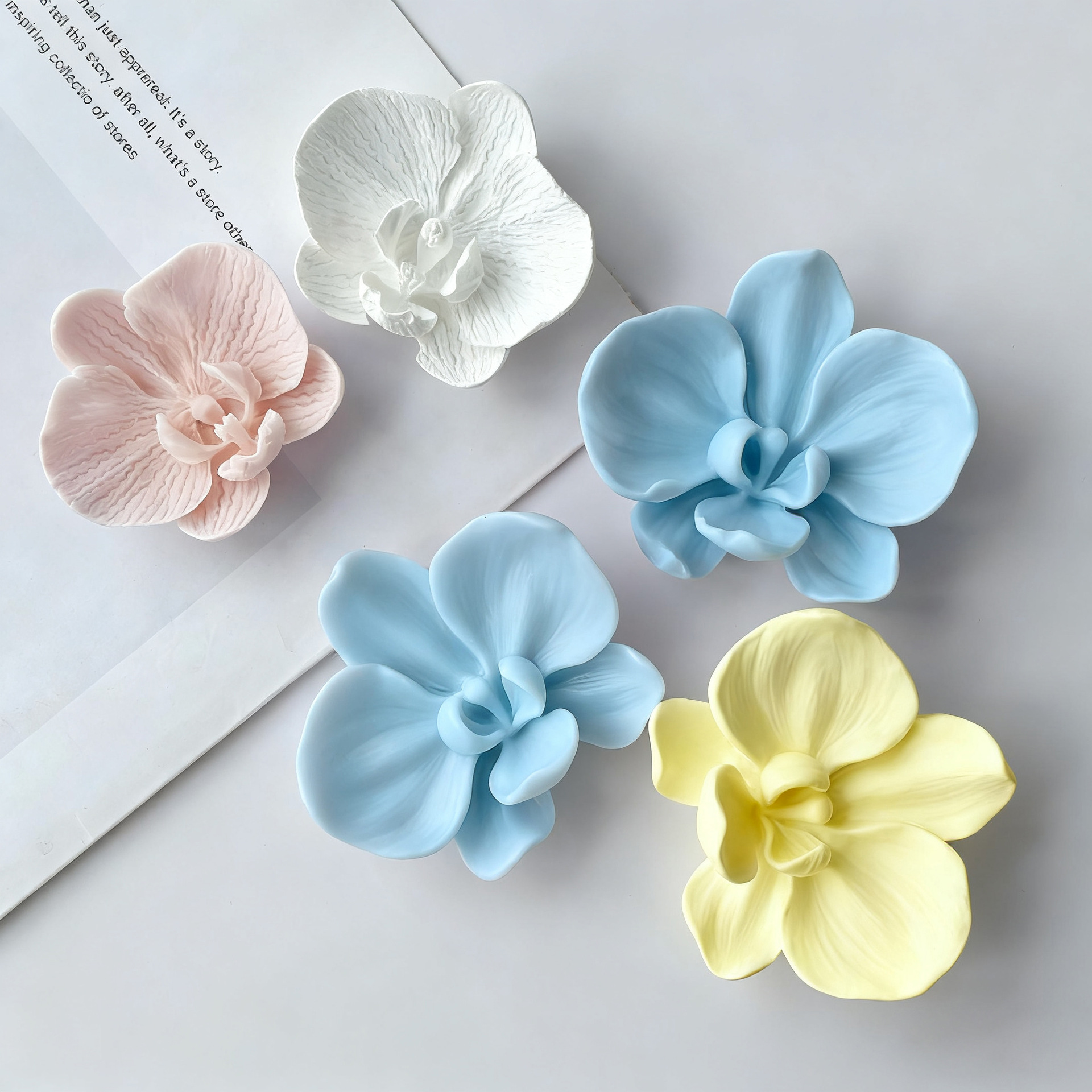Phalaenopsis Orchid Flower Sil - Orchid Phalaenopsis 评论和价格