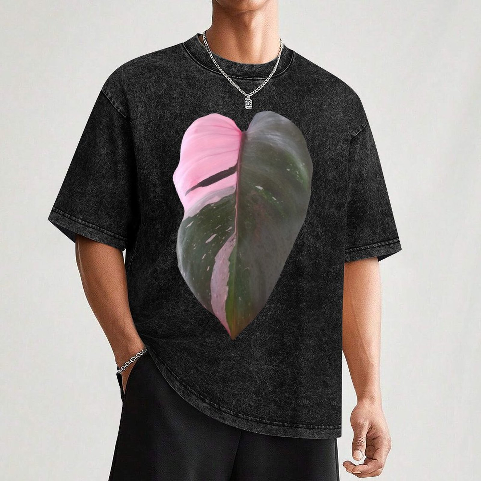 Pink Princess Philodendron Lea - Philodendron Pink Princess 评论和价格