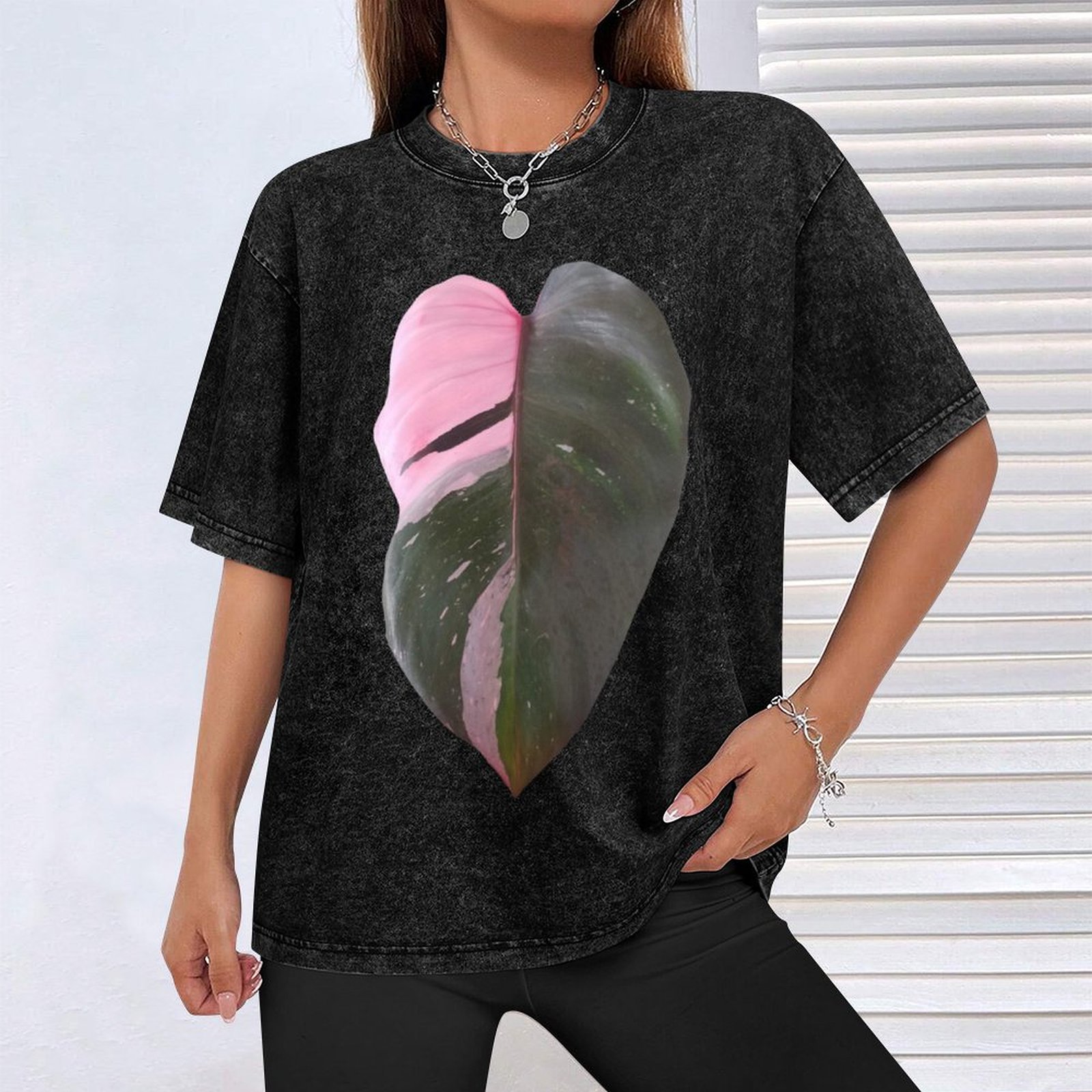 Pink Princess Philodendron Lea - Philodendron Pink Princess 评论和价格
