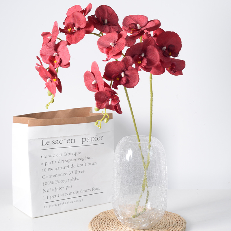 2pc 36cm Phalaenopsis Silk Clo - Orchid Phalaenopsis 评论和价格