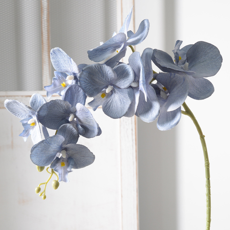 2pc 36cm Phalaenopsis Silk Clo - Orchid Phalaenopsis 评论和价格