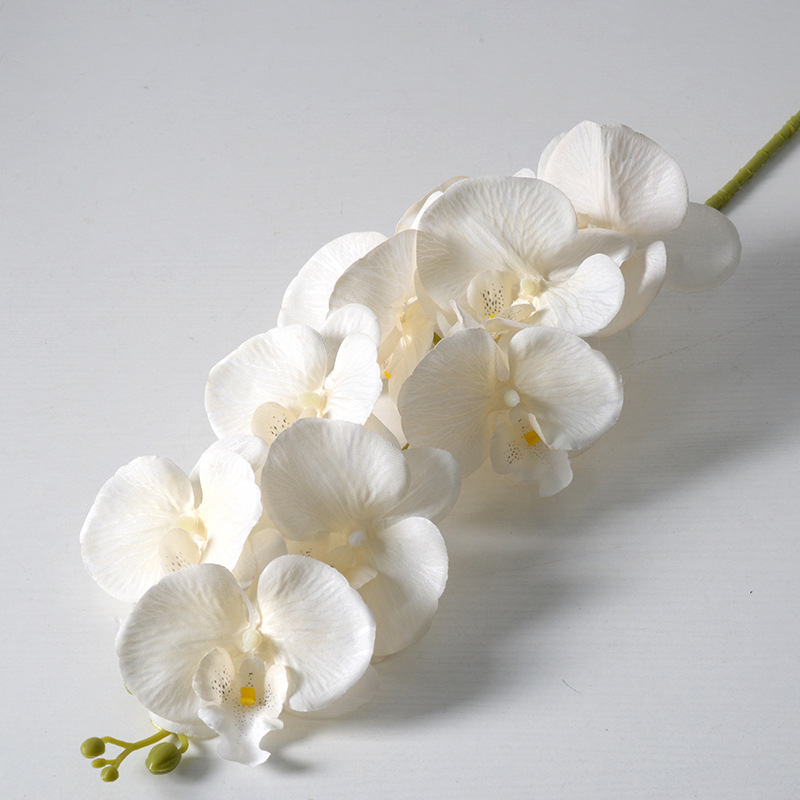 2pc 36cm Phalaenopsis Silk Clo - Orchid Phalaenopsis 评论和价格