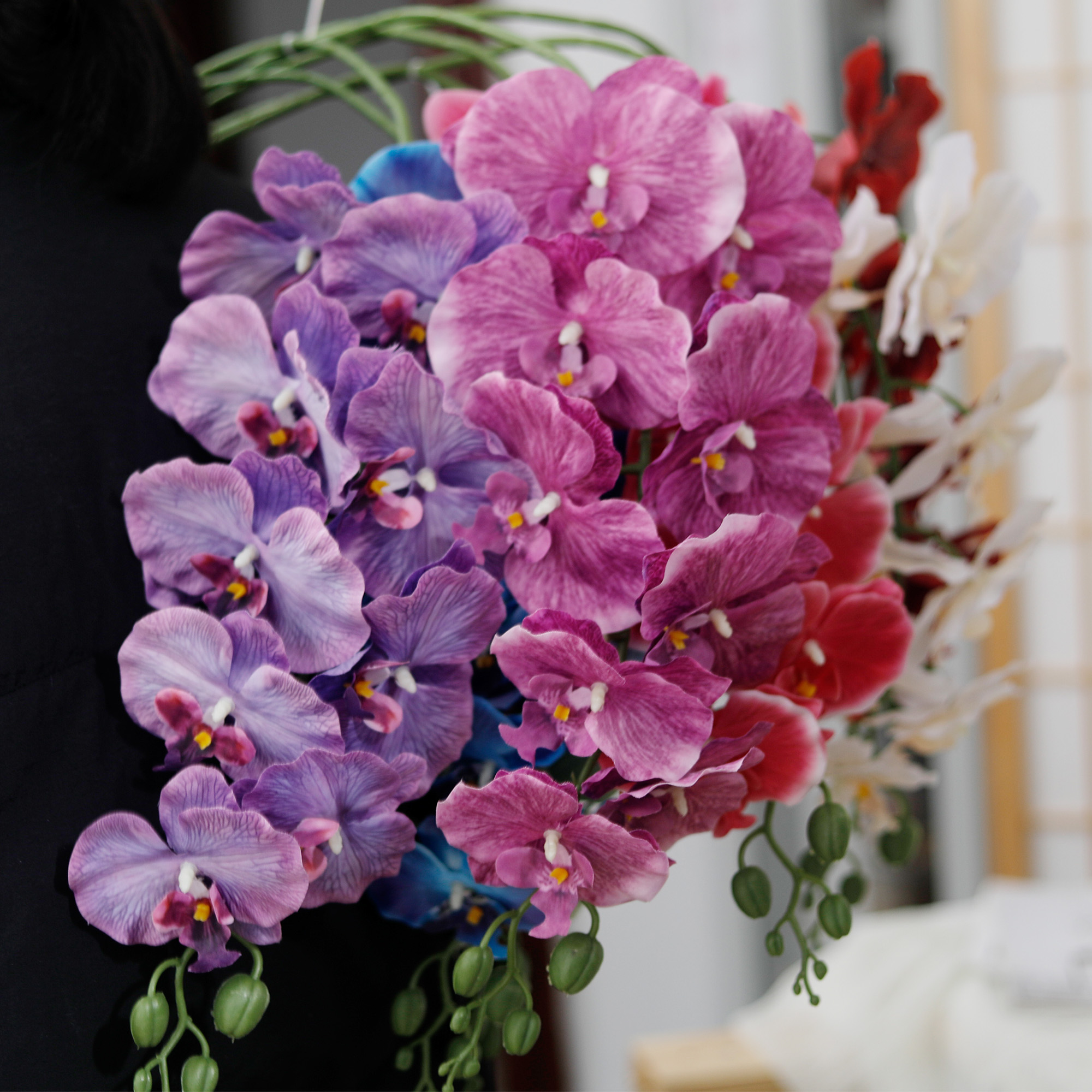 Long Branch Butterfly Orchids  - Orchid Phalaenopsis 评论和价格