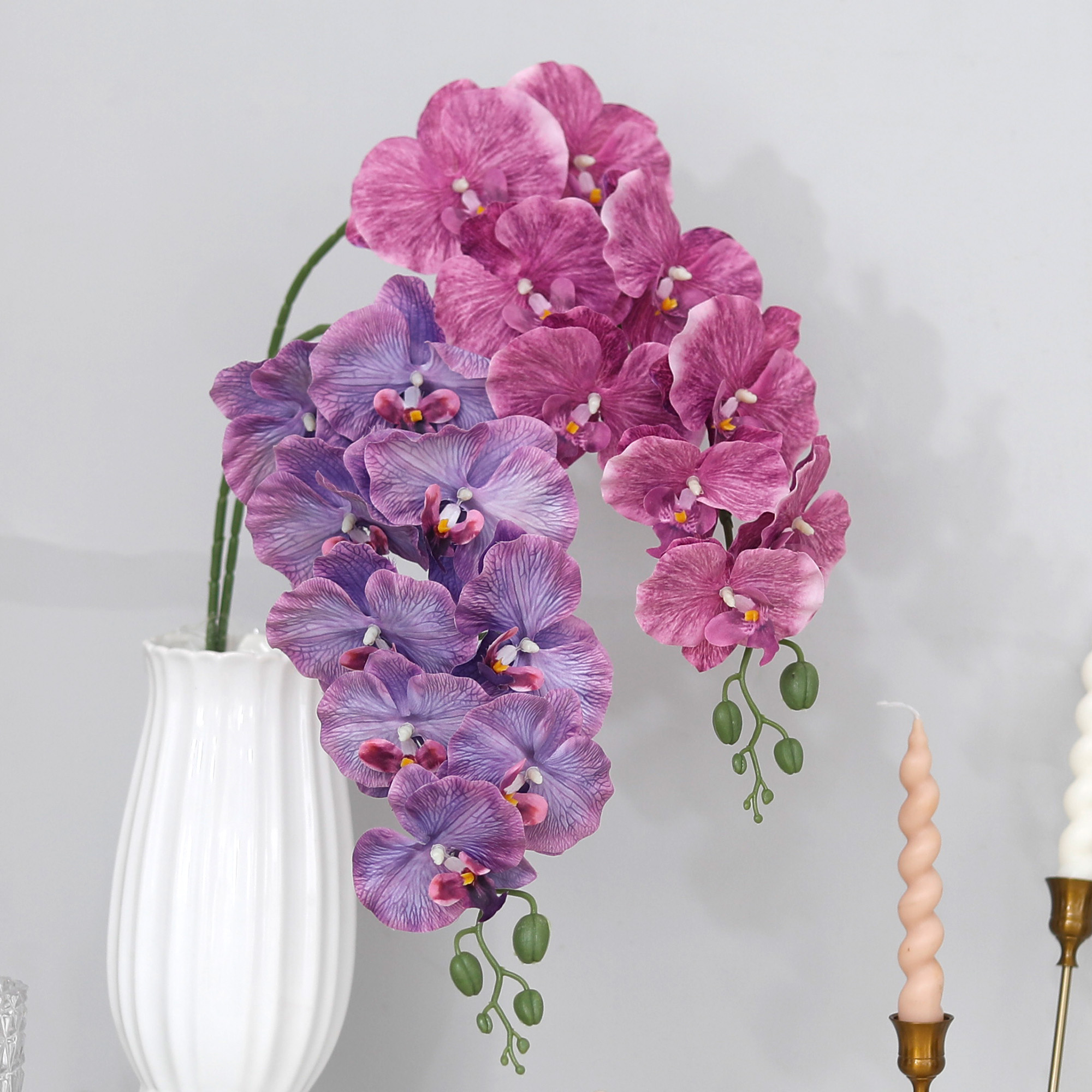 Long Branch Butterfly Orchids  - Orchid Phalaenopsis 评论和价格