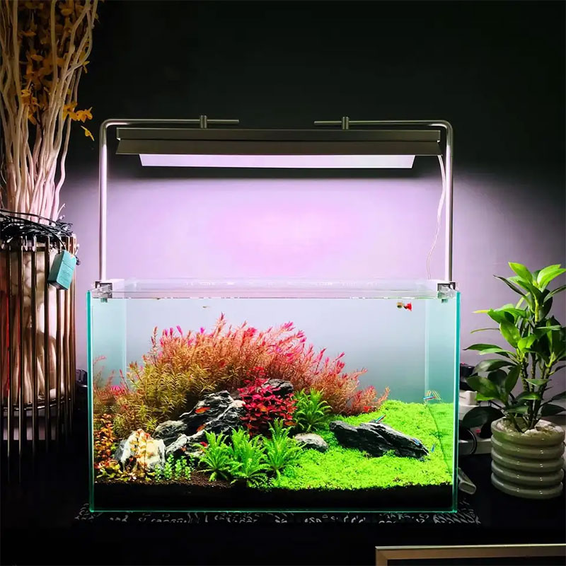 WEEK AQUA L Series,  Aquarium  - Plant Parent App 评论和价格
