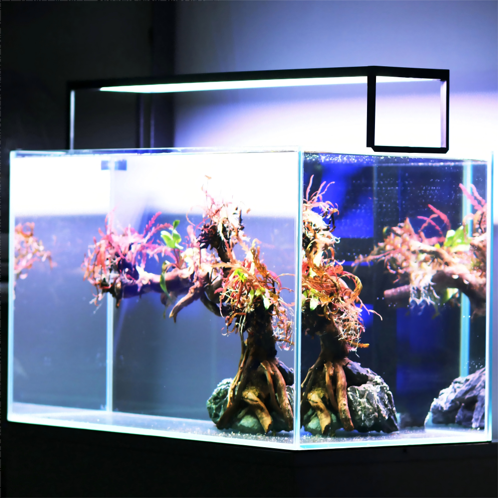 LED Aquarium light MICMOL Extr - Plant Parent App 评论和价格