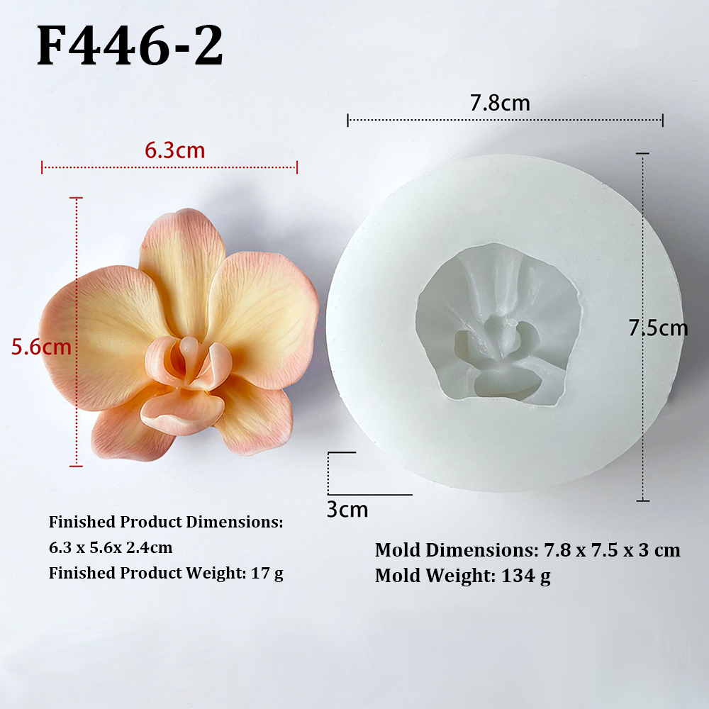 Phalaenopsis orchid flower-sha - Orchid Phalaenopsis 评论和价格