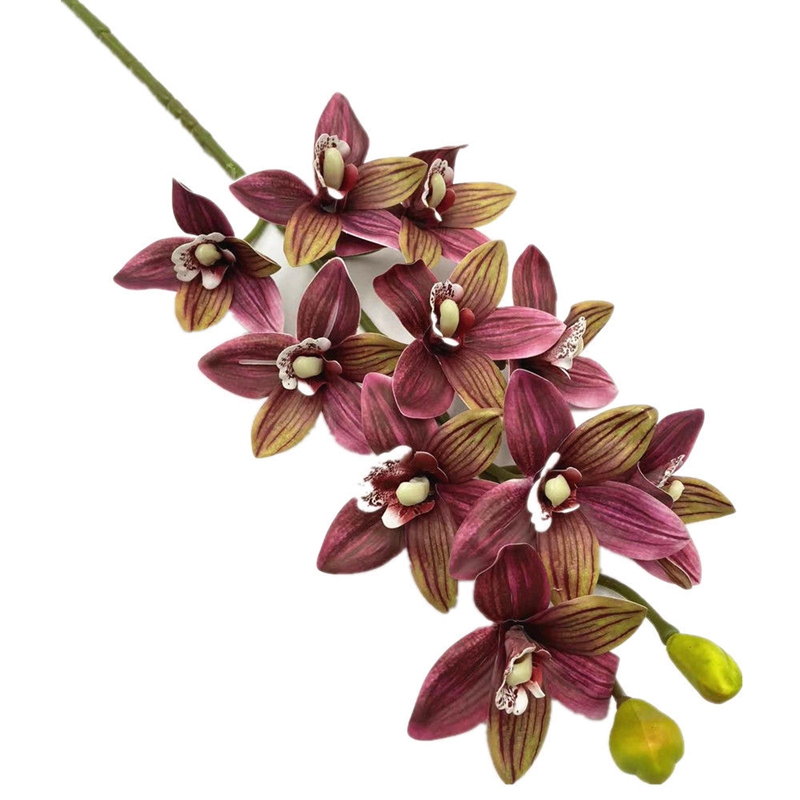 One Real Touch Cymbidium Hooke - Orchid Phalaenopsis 评论和价格