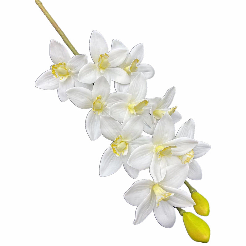 One Real Touch Cymbidium Hooke - Orchid Phalaenopsis 评论和价格