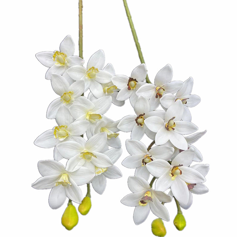 One Real Touch Cymbidium Hooke - Orchid Phalaenopsis 评论和价格