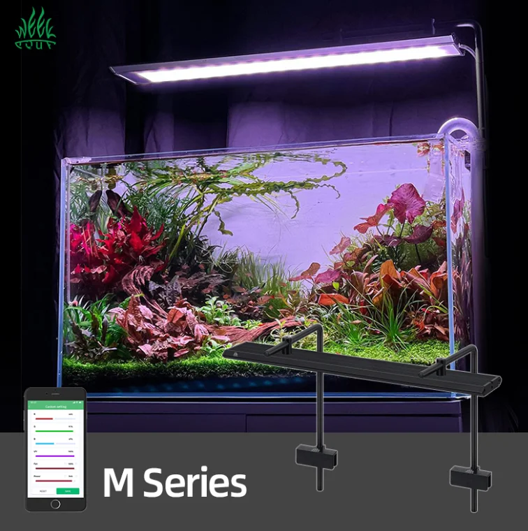 Week Aqua M Series RGB+UV Wate - Plant Parent App 评论和价格