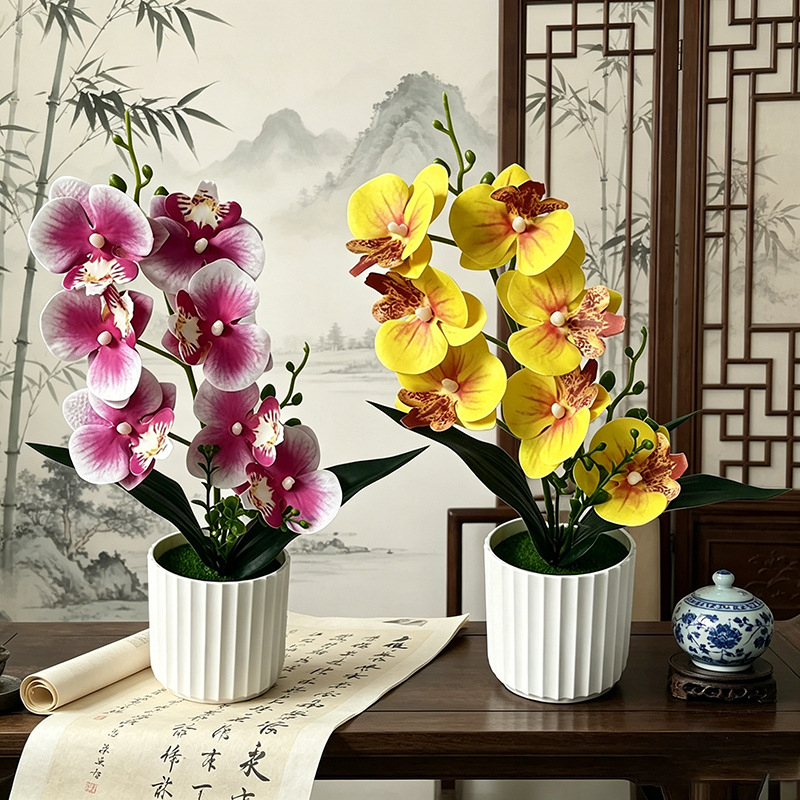 Butterfly Orchid 7-Flower Vert - Orchid Phalaenopsis 评论和价格