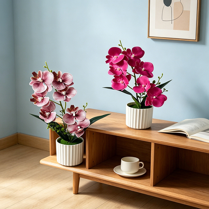 Butterfly Orchid 7-Flower Vert - Orchid Phalaenopsis 评论和价格