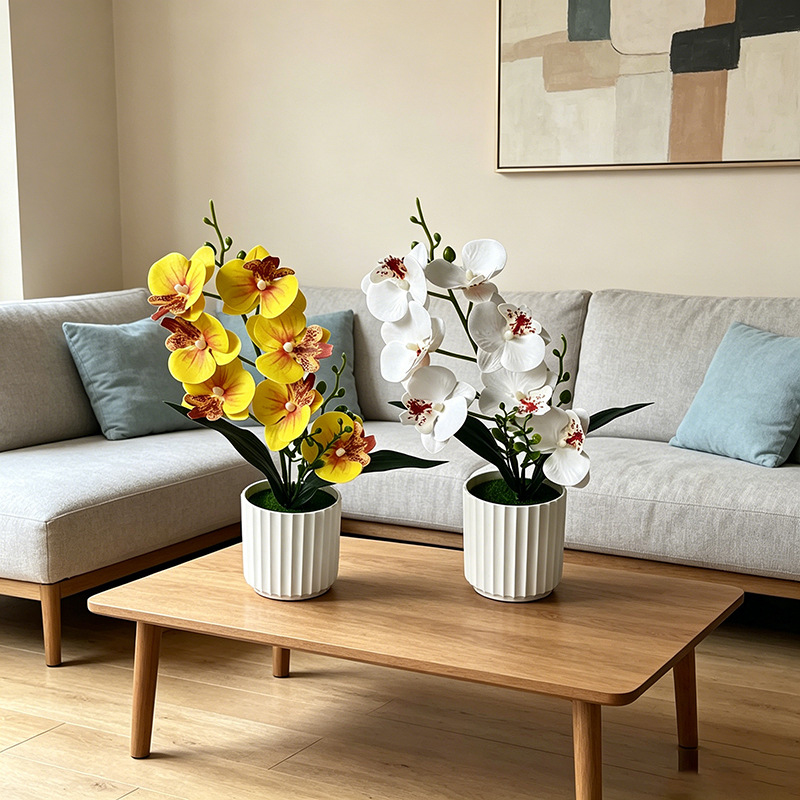 Butterfly Orchid 7-Flower Vert - Orchid Phalaenopsis 评论和价格