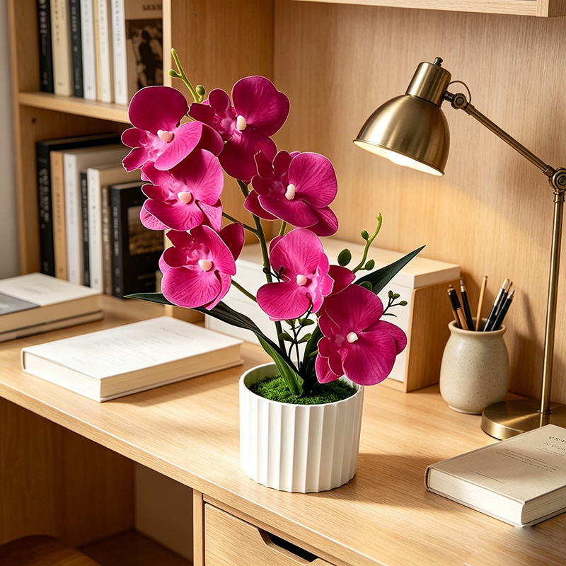 Butterfly Orchid 7-Flower Vert - Orchid Phalaenopsis 评论和价格