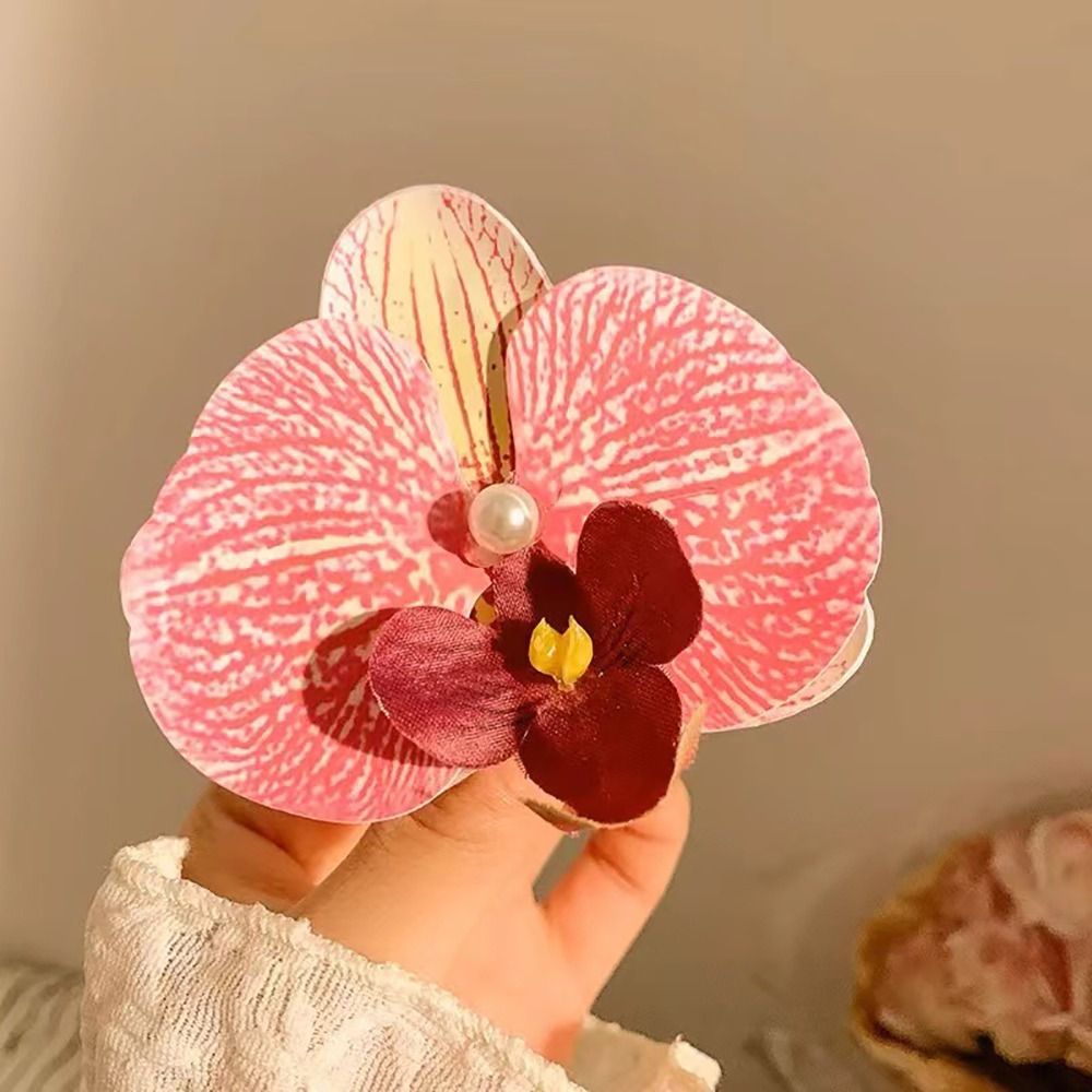 1Pcs Phalaenopsis Pearl Hair C - Orchid Phalaenopsis 评论和价格