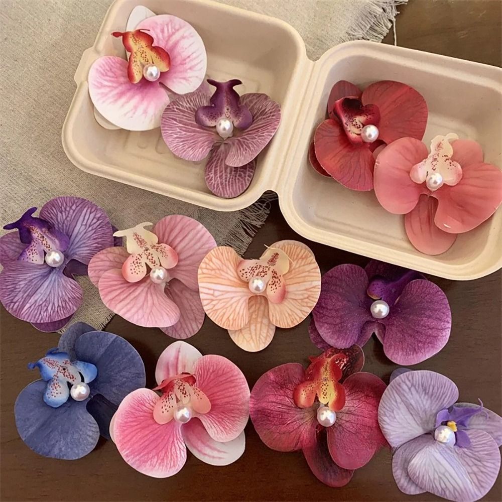 1Pcs Phalaenopsis Pearl Hair C - Orchid Phalaenopsis 评论和价格