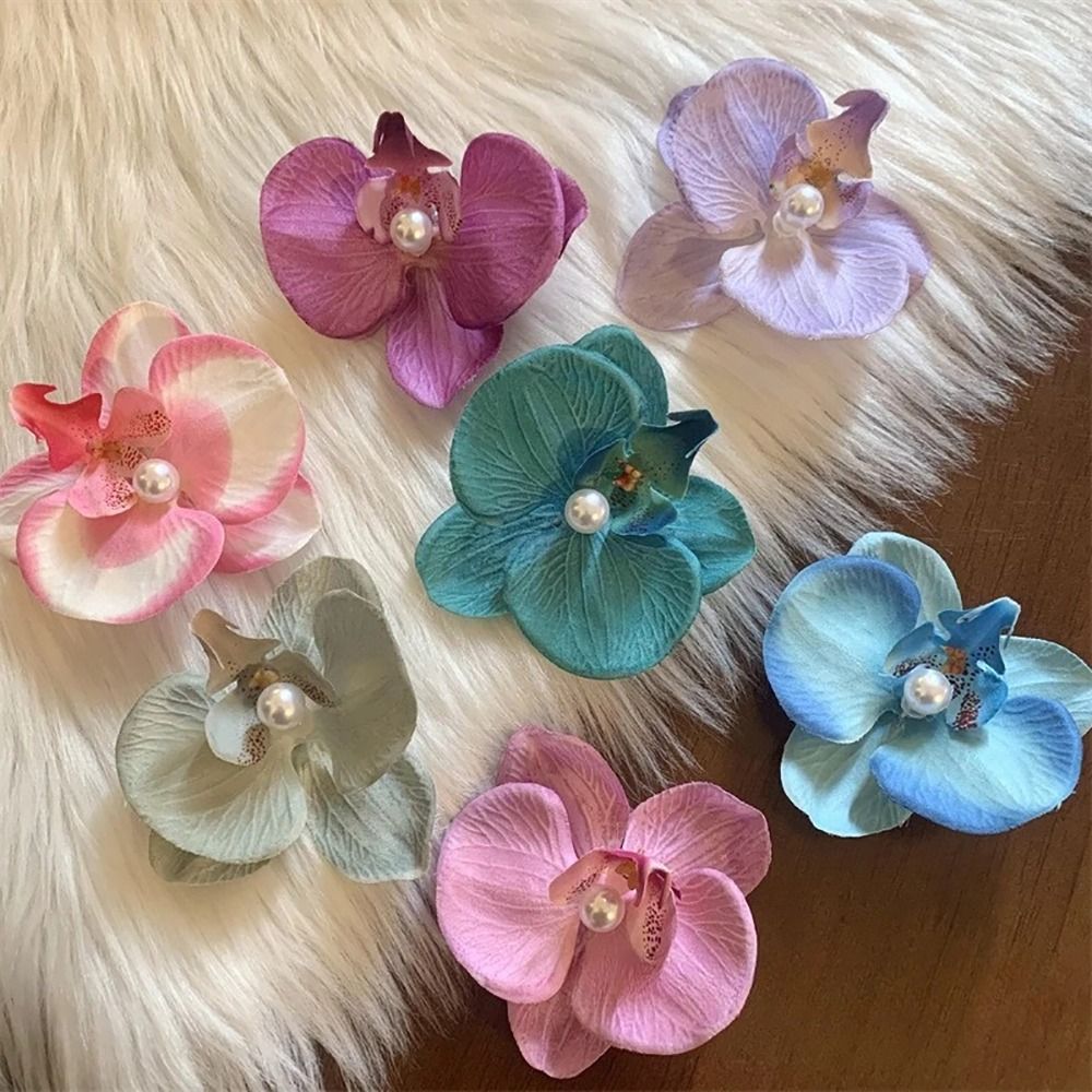 1Pcs Phalaenopsis Pearl Hair C - Orchid Phalaenopsis 评论和价格