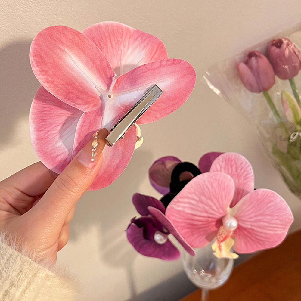1Pcs Phalaenopsis Pearl Hair C - Orchid Phalaenopsis 评论和价格