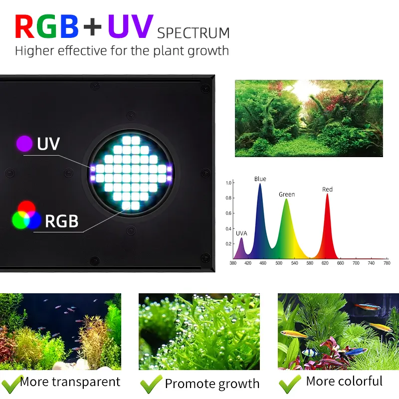 WEEK AQUA Aquatic Planted Aqua - Plant Parent App 评论和价格