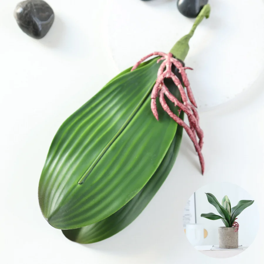 5 pieces of imitation orchid l - Orchid Phalaenopsis 评论和价格