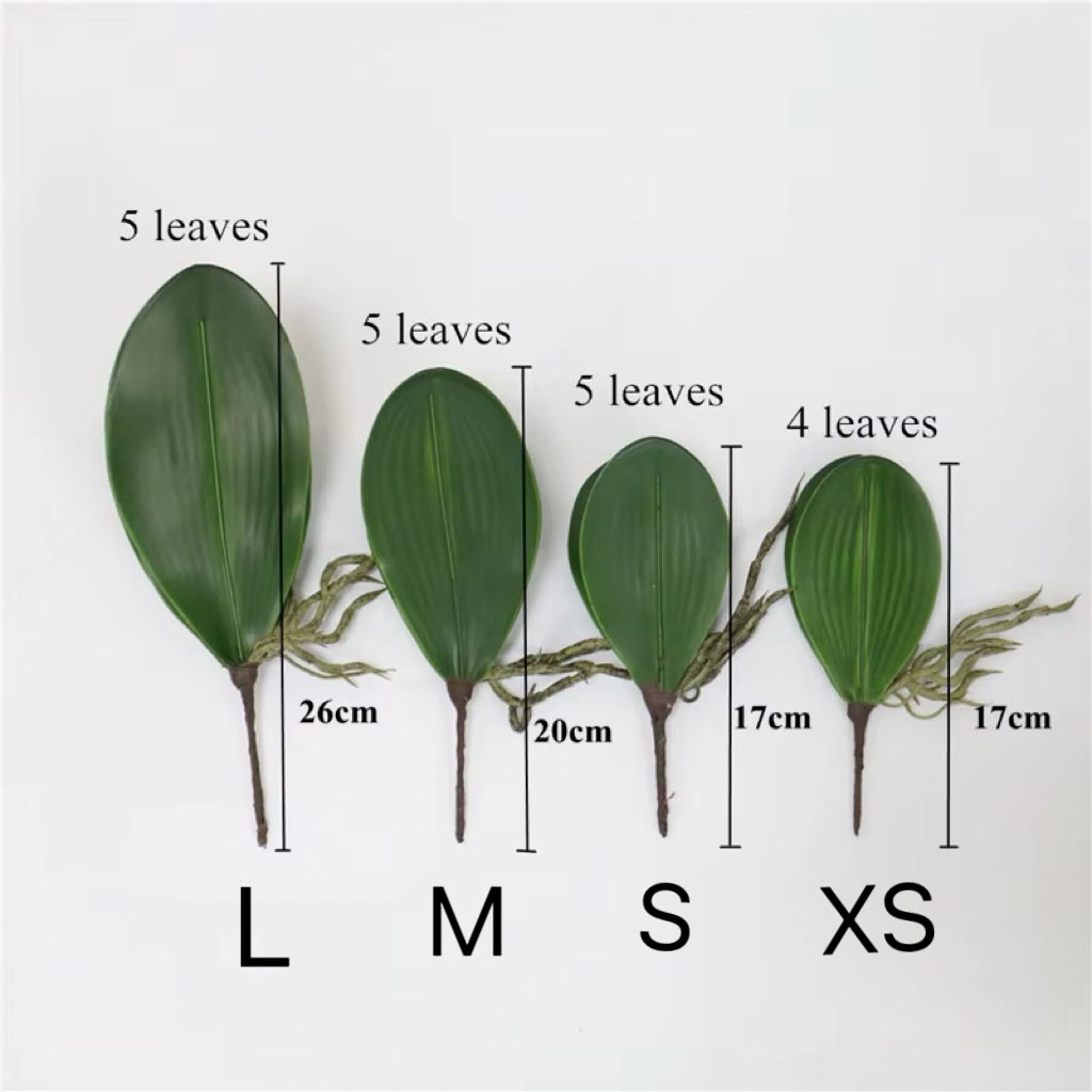 5 pieces of imitation orchid l - Orchid Phalaenopsis 评论和价格